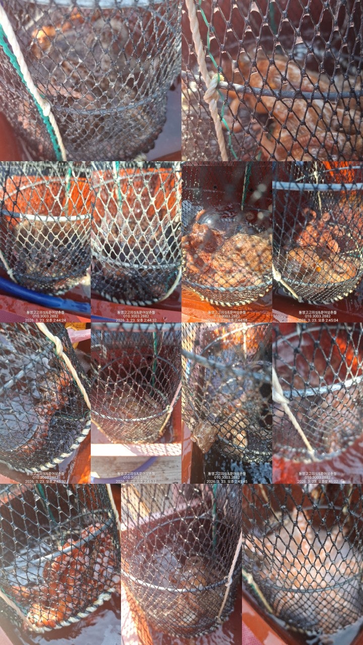 ����ڰ� �ø� �̹���