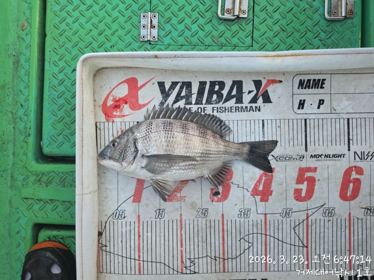 ����ڰ� �ø� �̹���