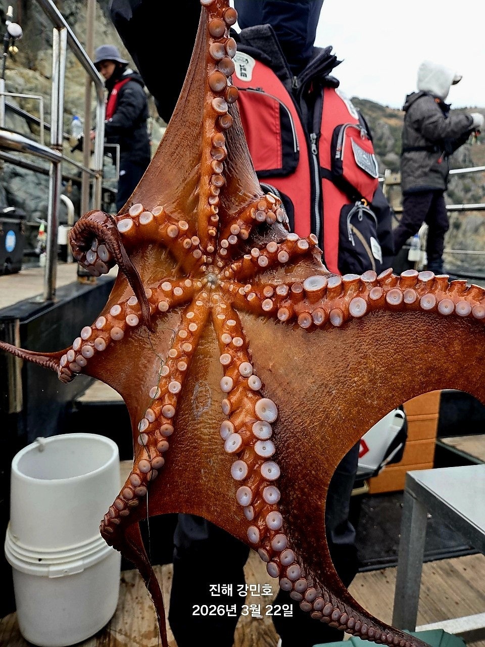 ����ڰ� �ø� �̹���