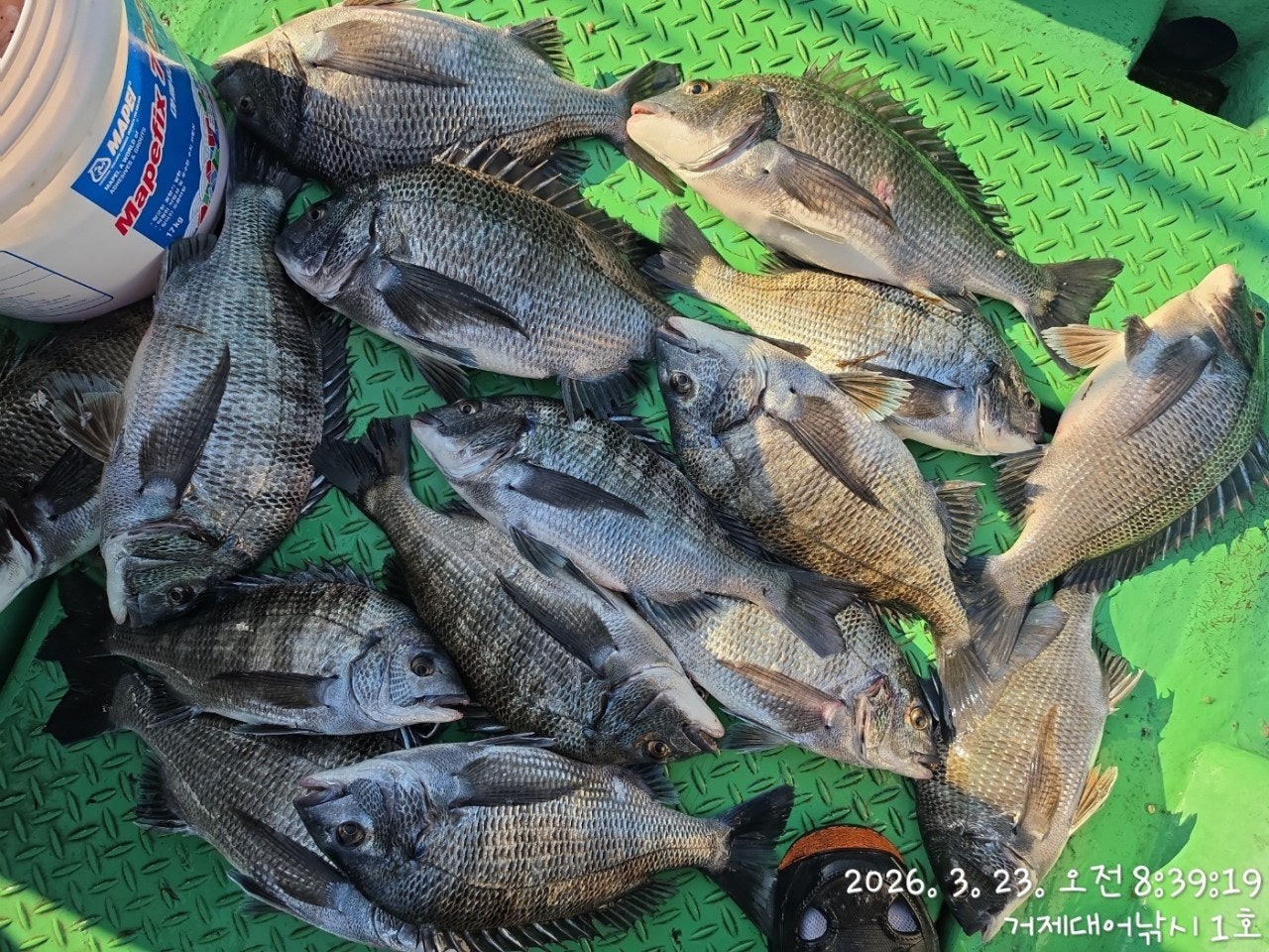 ����ڰ� �ø� �̹���