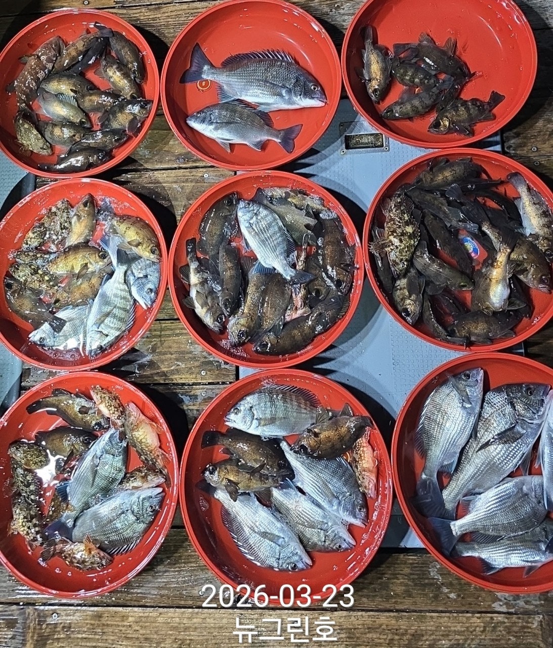 ����ڰ� �ø� �̹���