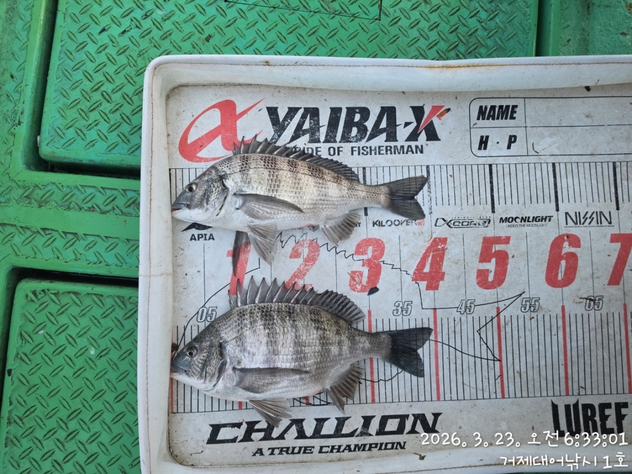 ����ڰ� �ø� �̹���