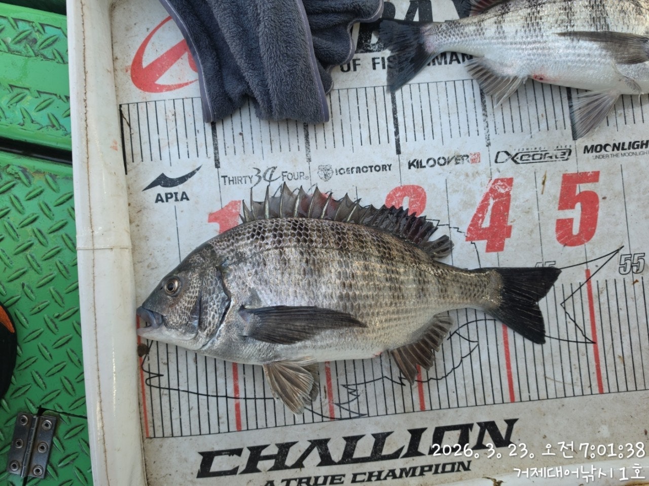 ����ڰ� �ø� �̹���