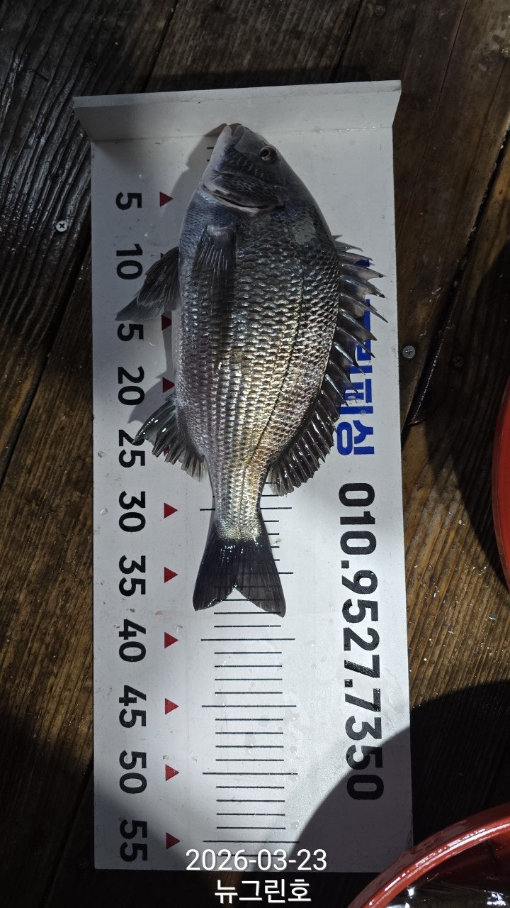 ����ڰ� �ø� �̹���