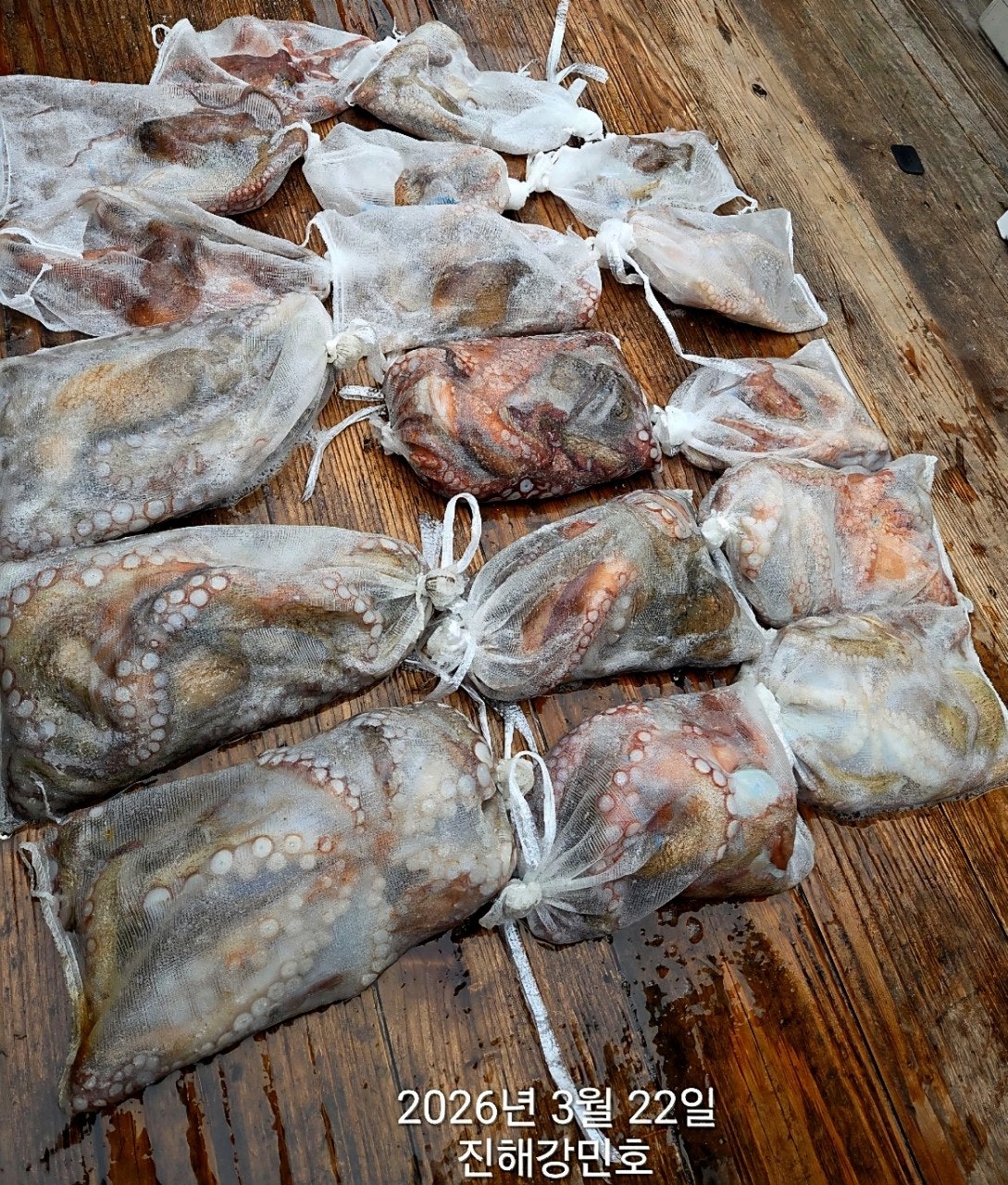 ����ڰ� �ø� �̹���