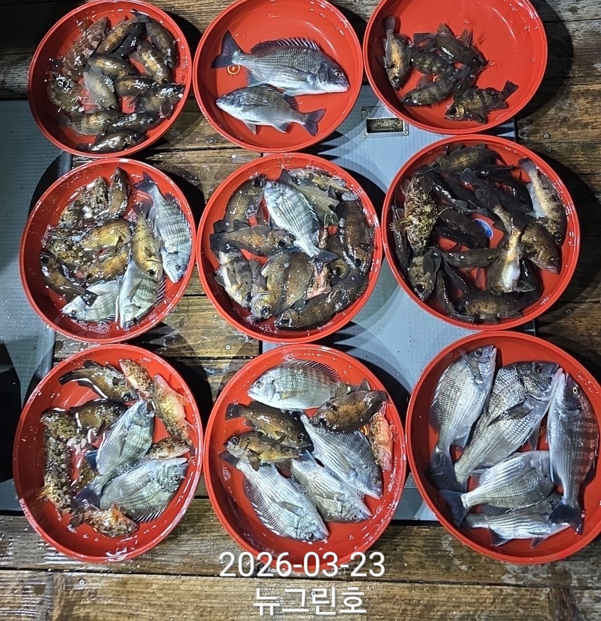 ����ڰ� �ø� �̹���