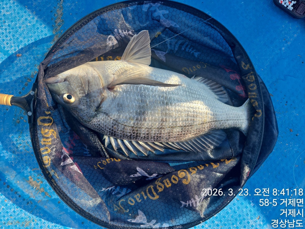 ����ڰ� �ø� �̹���