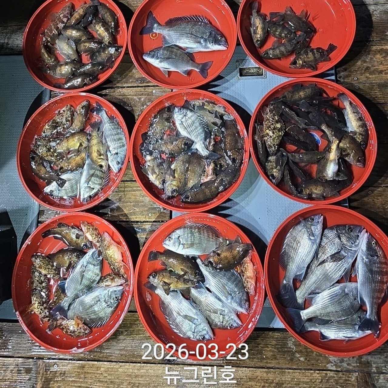 ����ڰ� �ø� �̹���