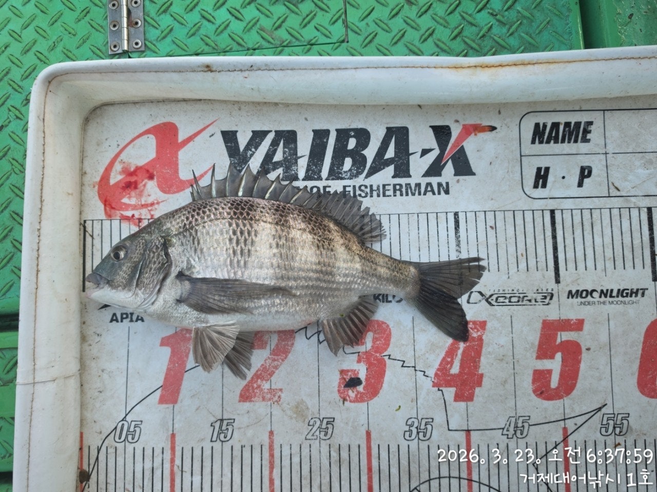 ����ڰ� �ø� �̹���