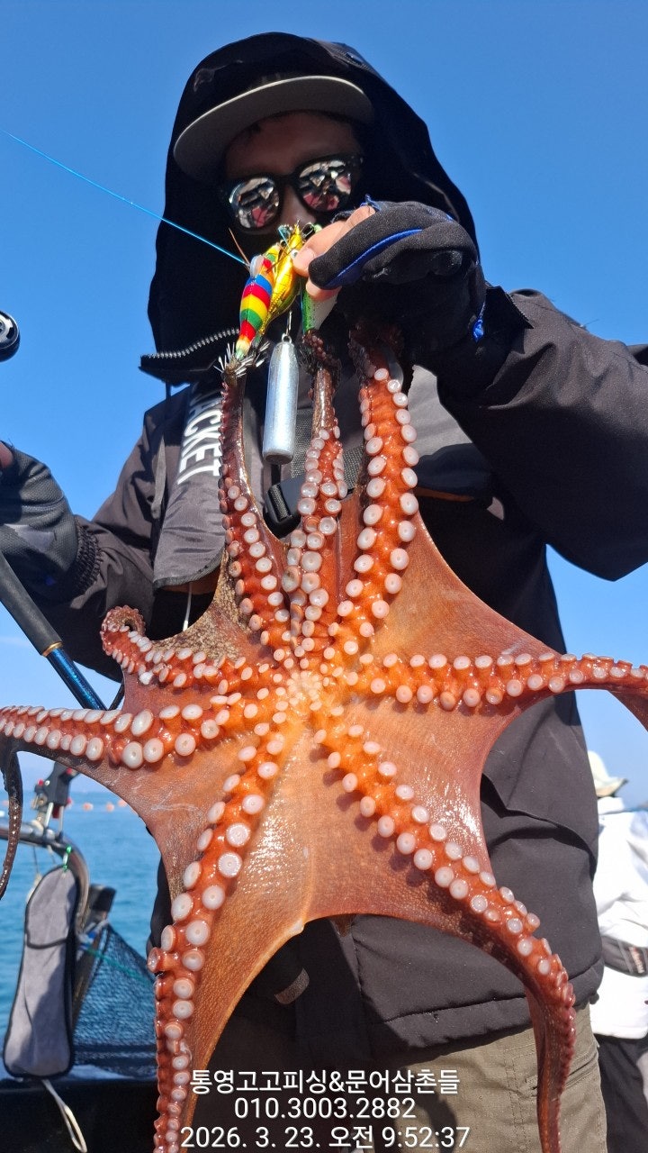 ����ڰ� �ø� �̹���