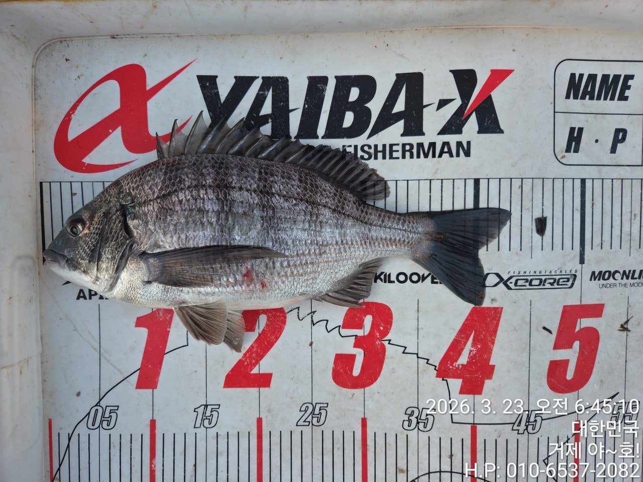 ����ڰ� �ø� �̹���