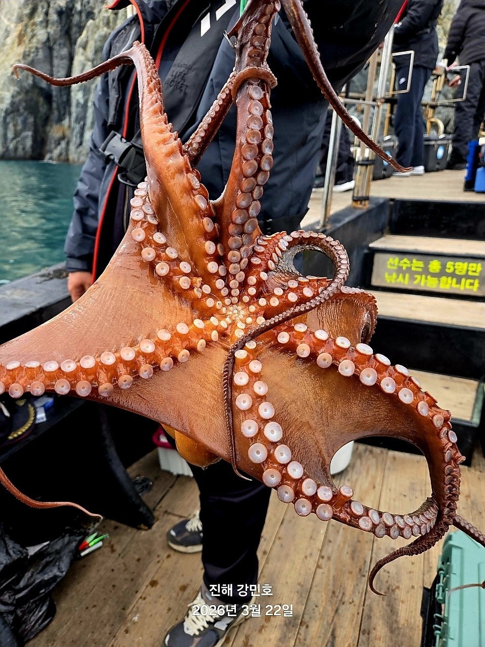 ����ڰ� �ø� �̹���