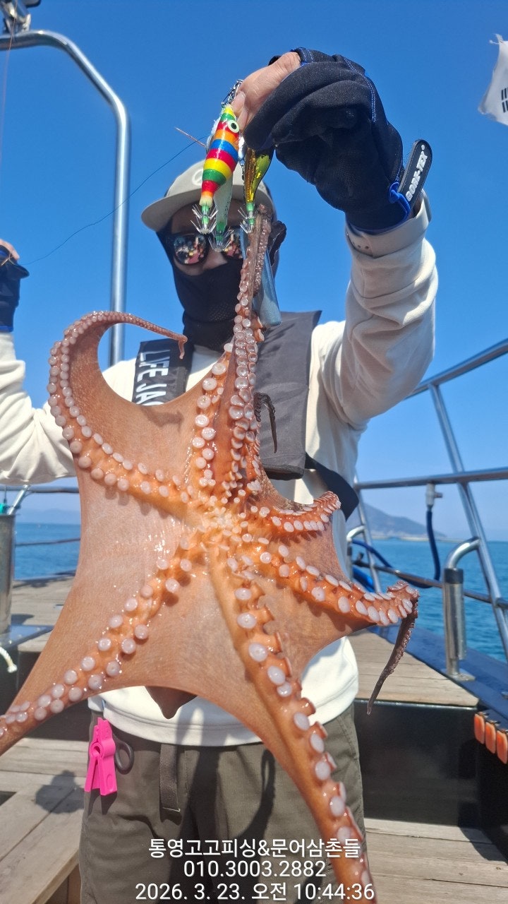 ����ڰ� �ø� �̹���