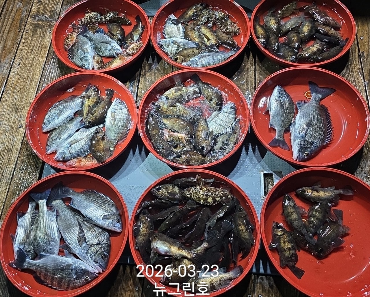 ����ڰ� �ø� �̹���