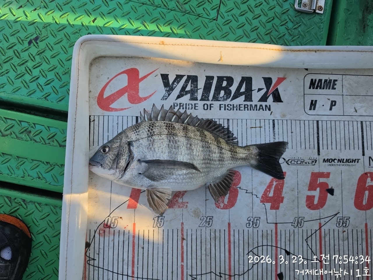 ����ڰ� �ø� �̹���