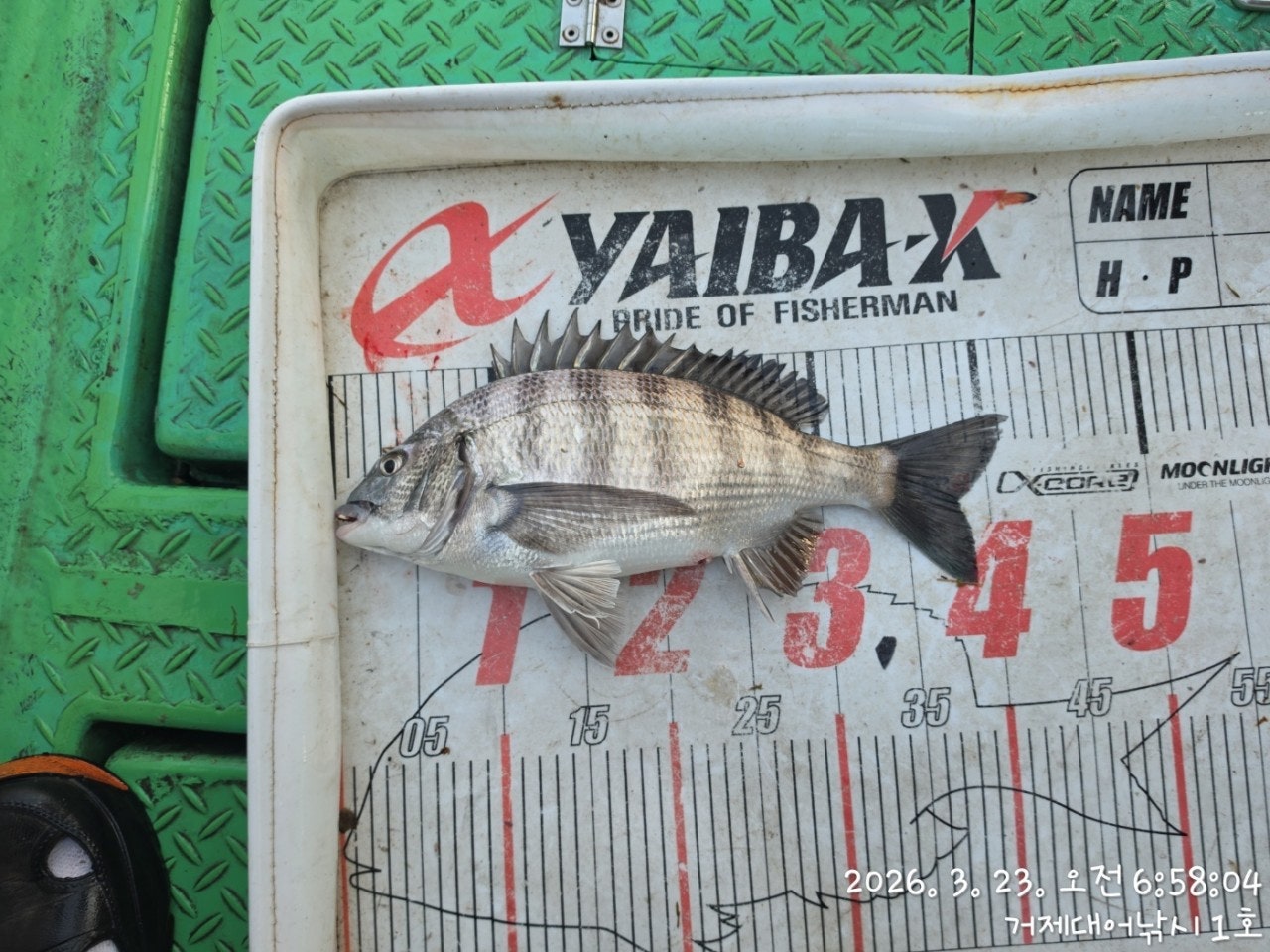 ����ڰ� �ø� �̹���