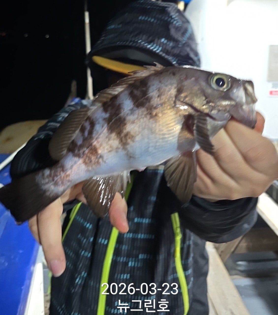 ����ڰ� �ø� �̹���