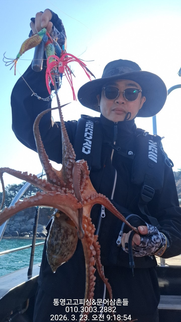 ����ڰ� �ø� �̹���