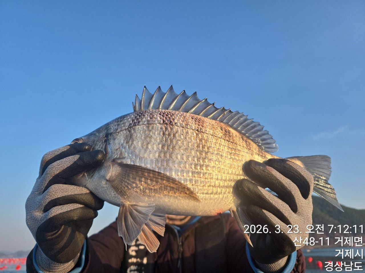 ����ڰ� �ø� �̹���