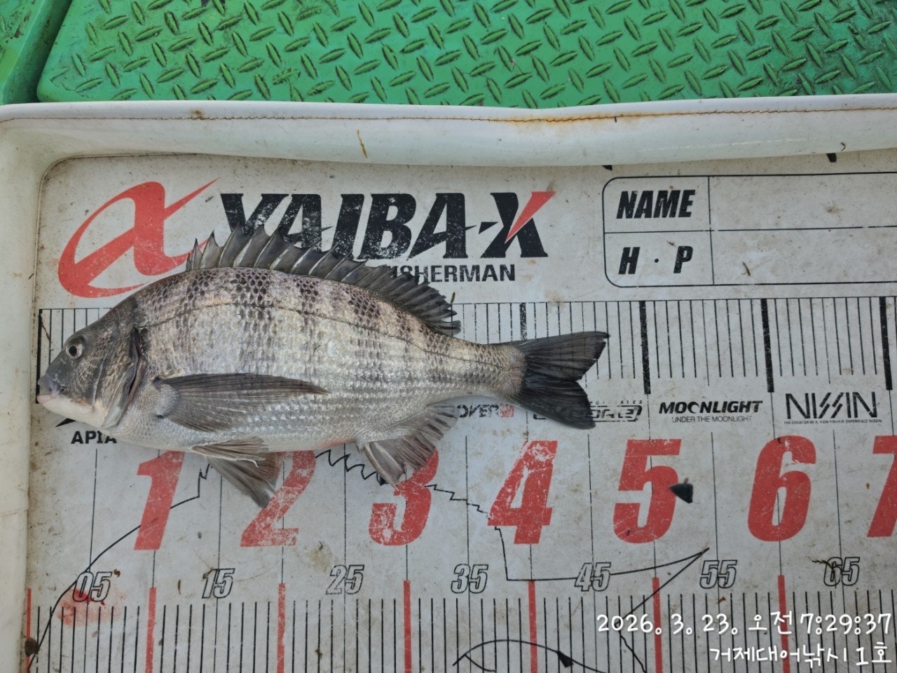 ����ڰ� �ø� �̹���