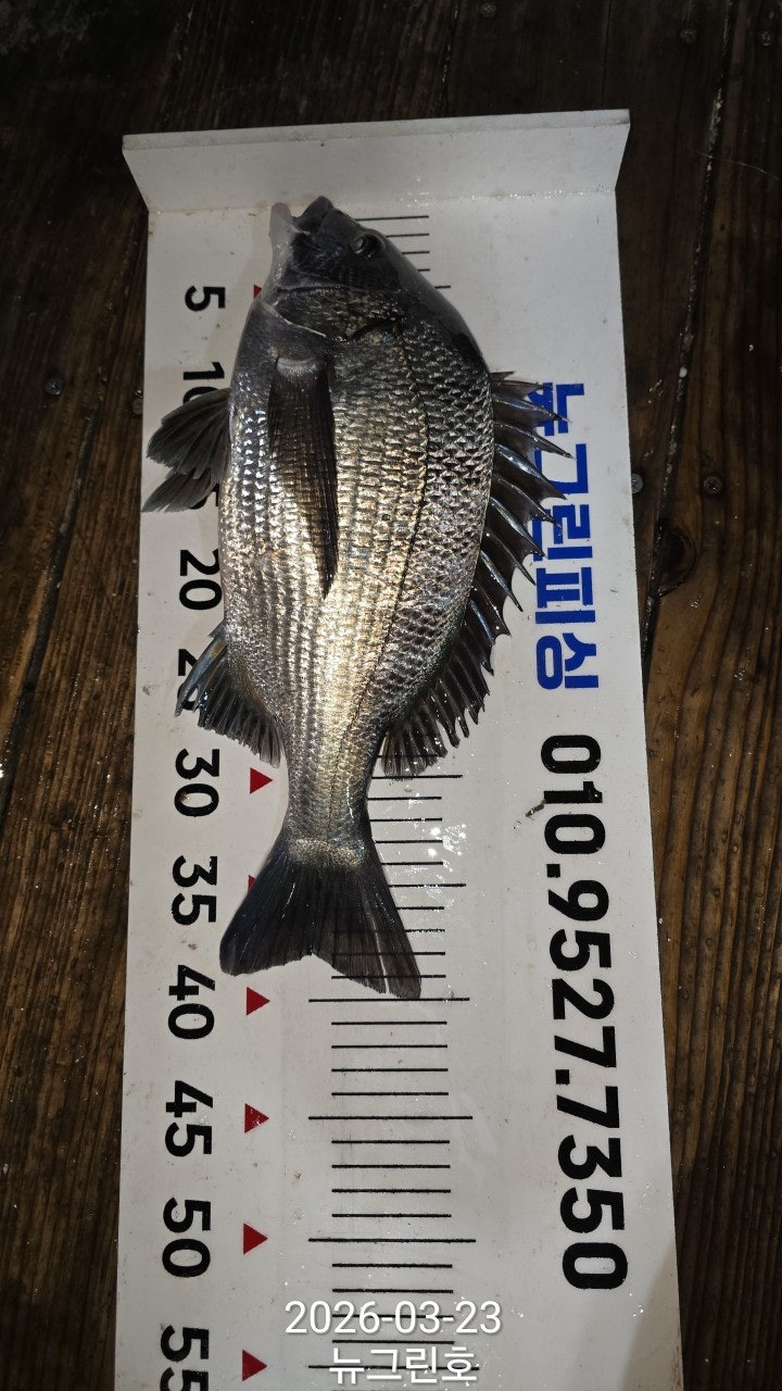 ����ڰ� �ø� �̹���