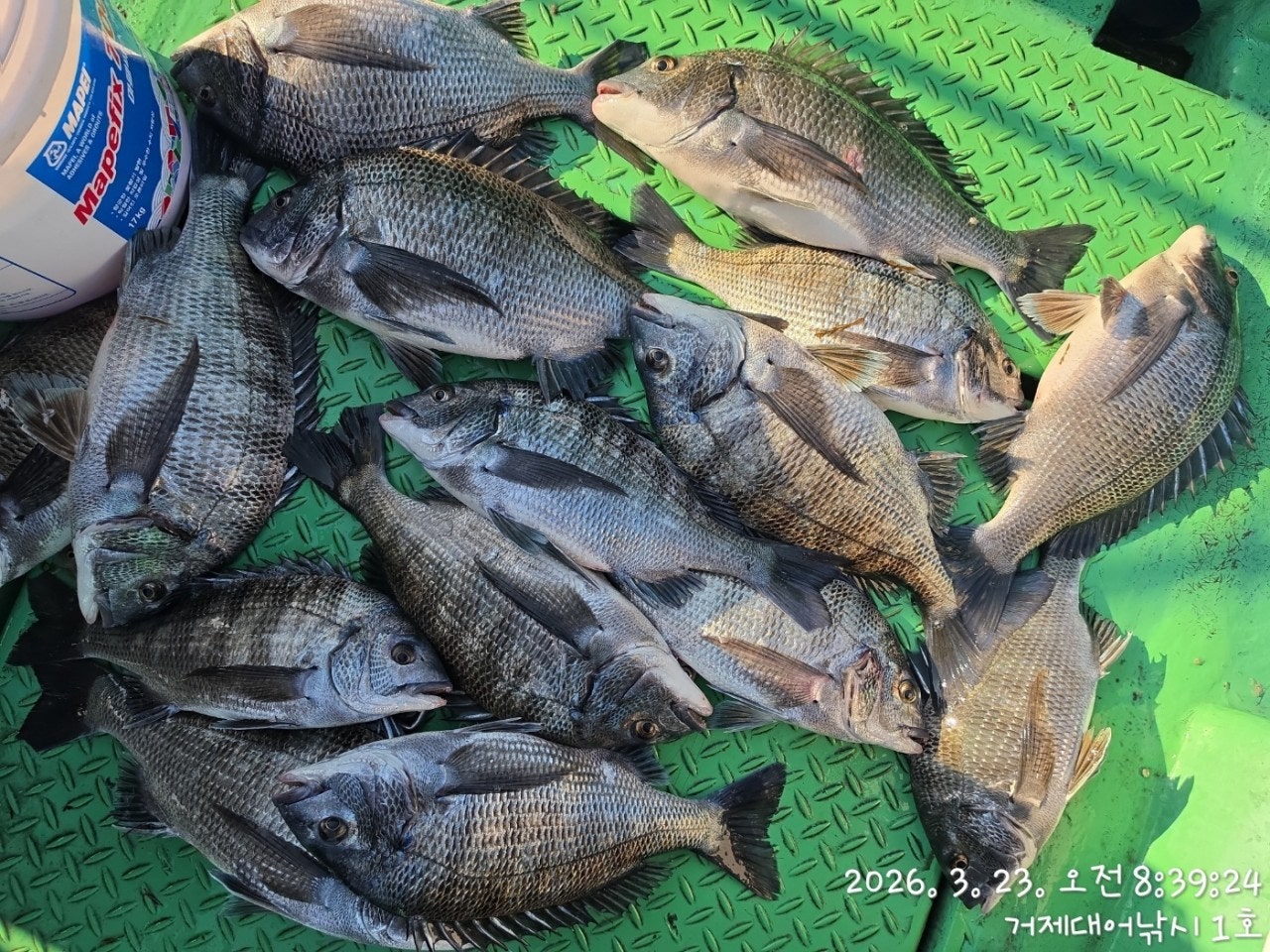 ����ڰ� �ø� �̹���