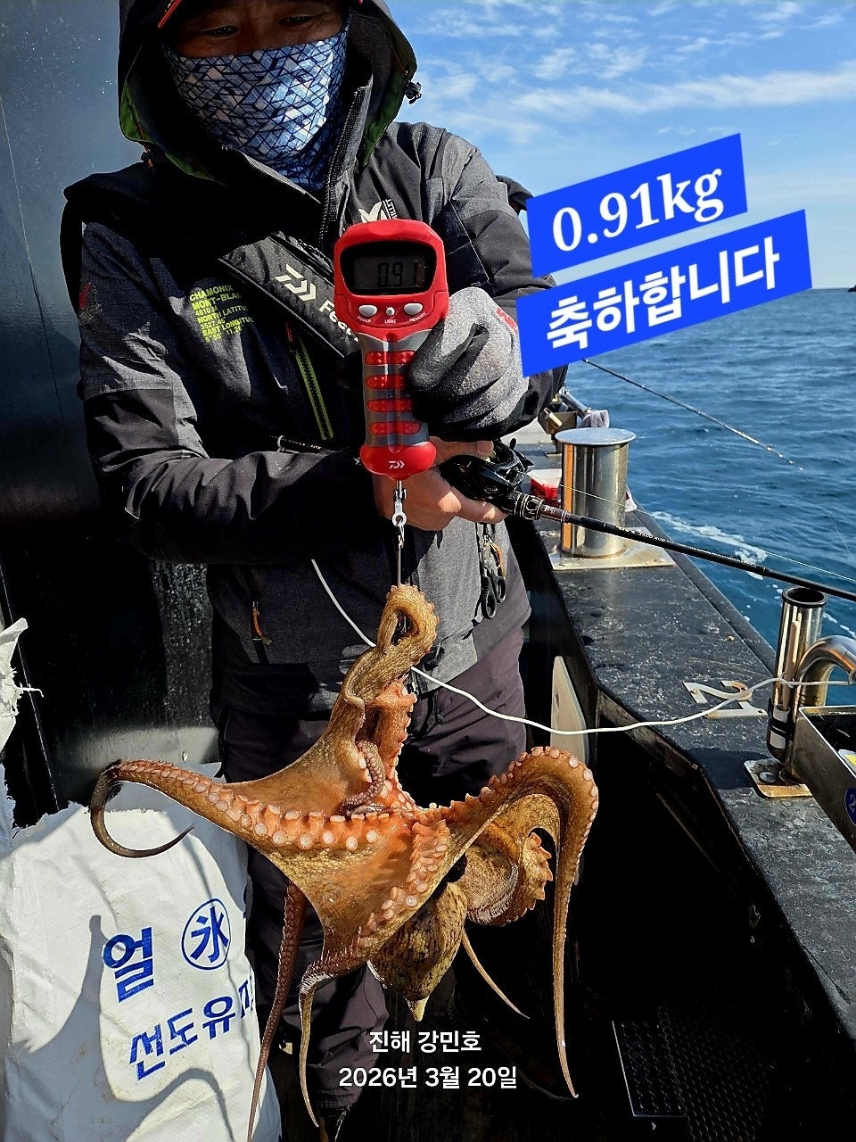 ����ڰ� �ø� �̹���