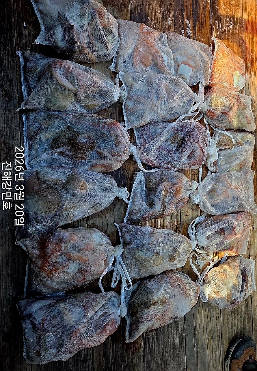 ����ڰ� �ø� �̹���