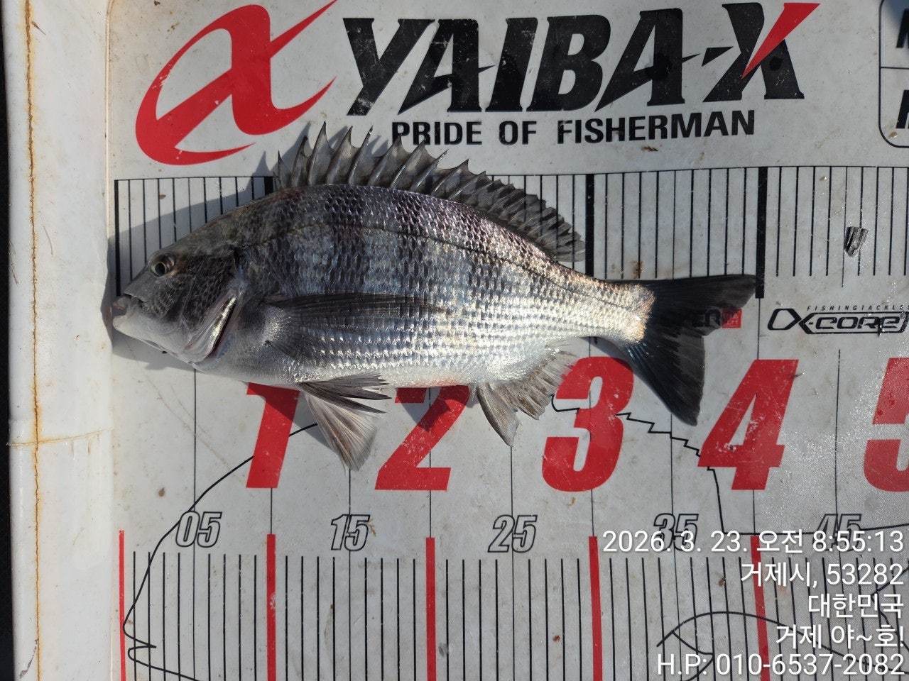 ����ڰ� �ø� �̹���