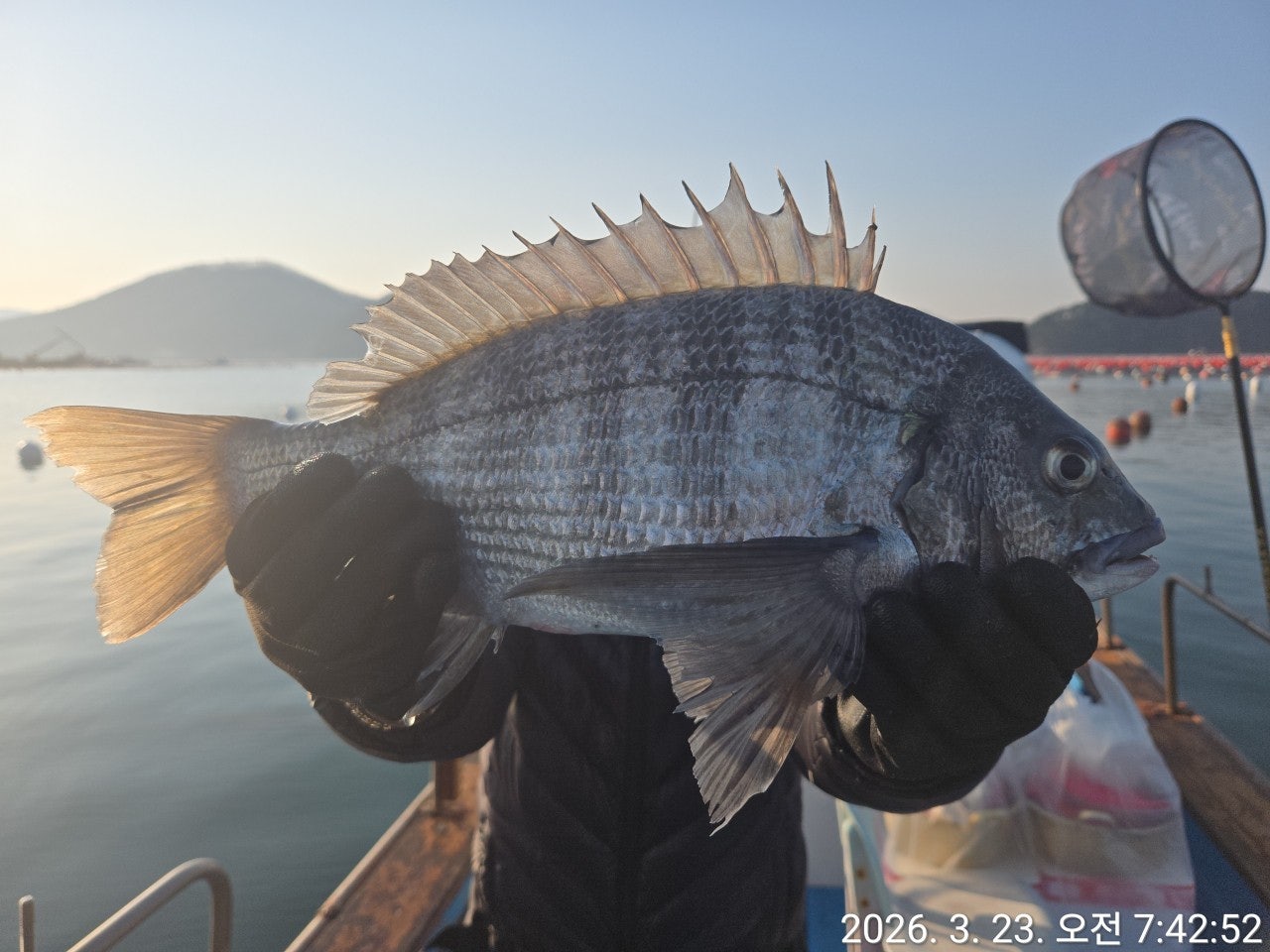 ����ڰ� �ø� �̹���