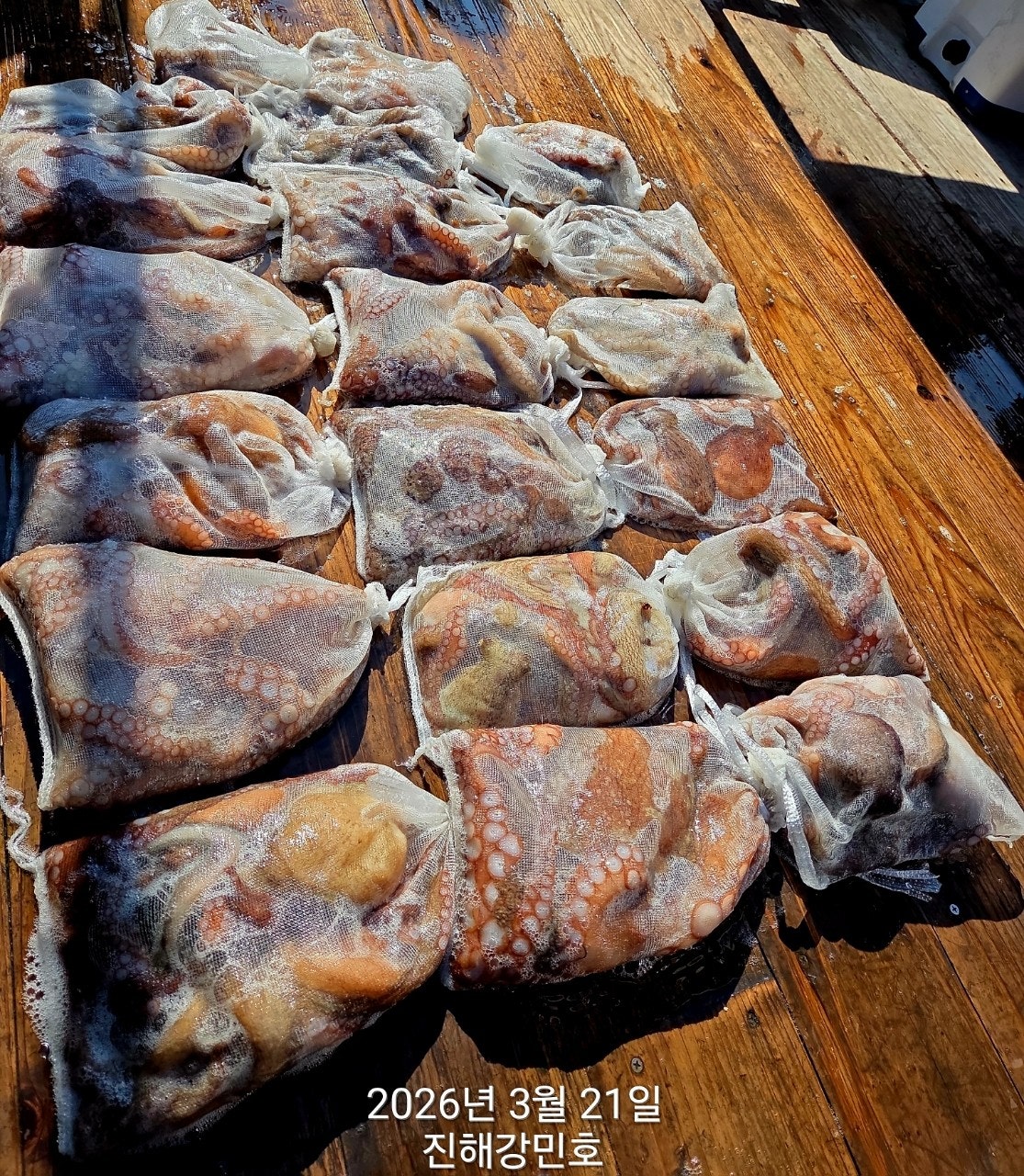 ����ڰ� �ø� �̹���