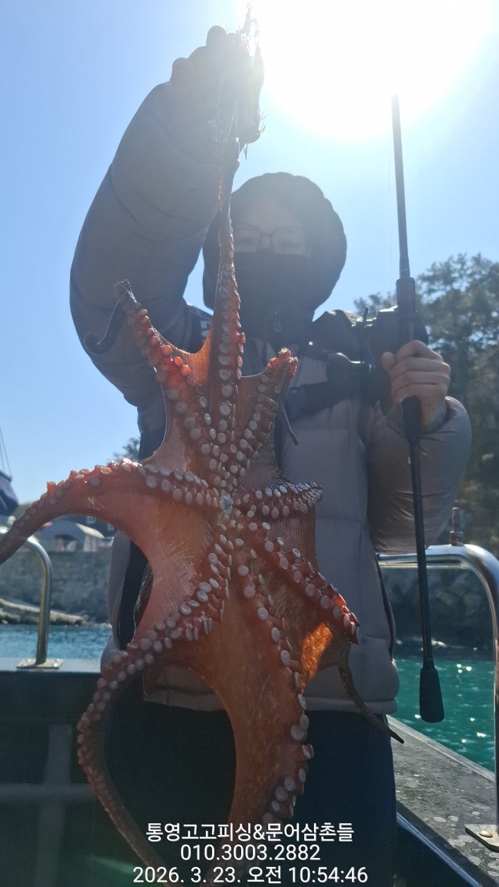 ����ڰ� �ø� �̹���