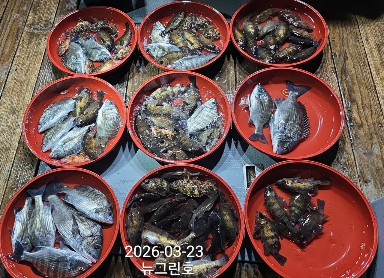 ����ڰ� �ø� �̹���