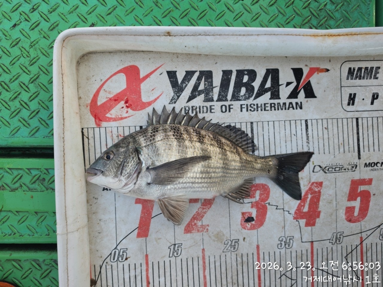 ����ڰ� �ø� �̹���