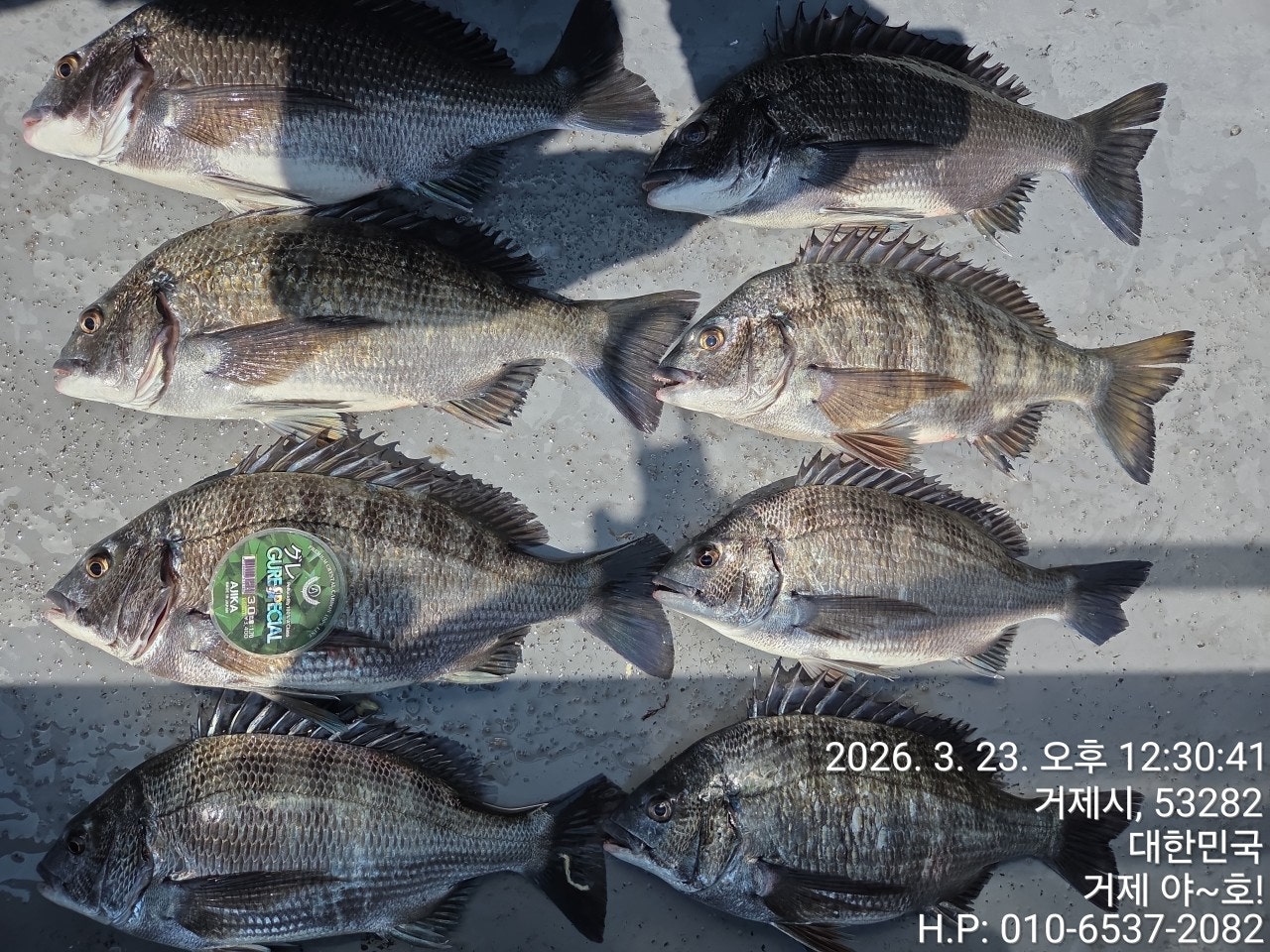 ����ڰ� �ø� �̹���