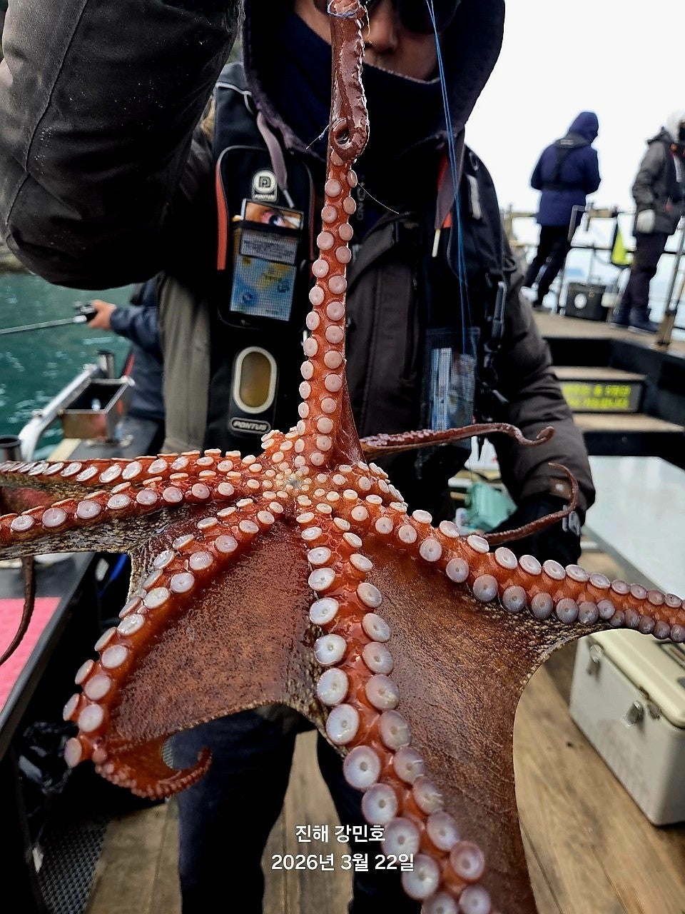 ����ڰ� �ø� �̹���