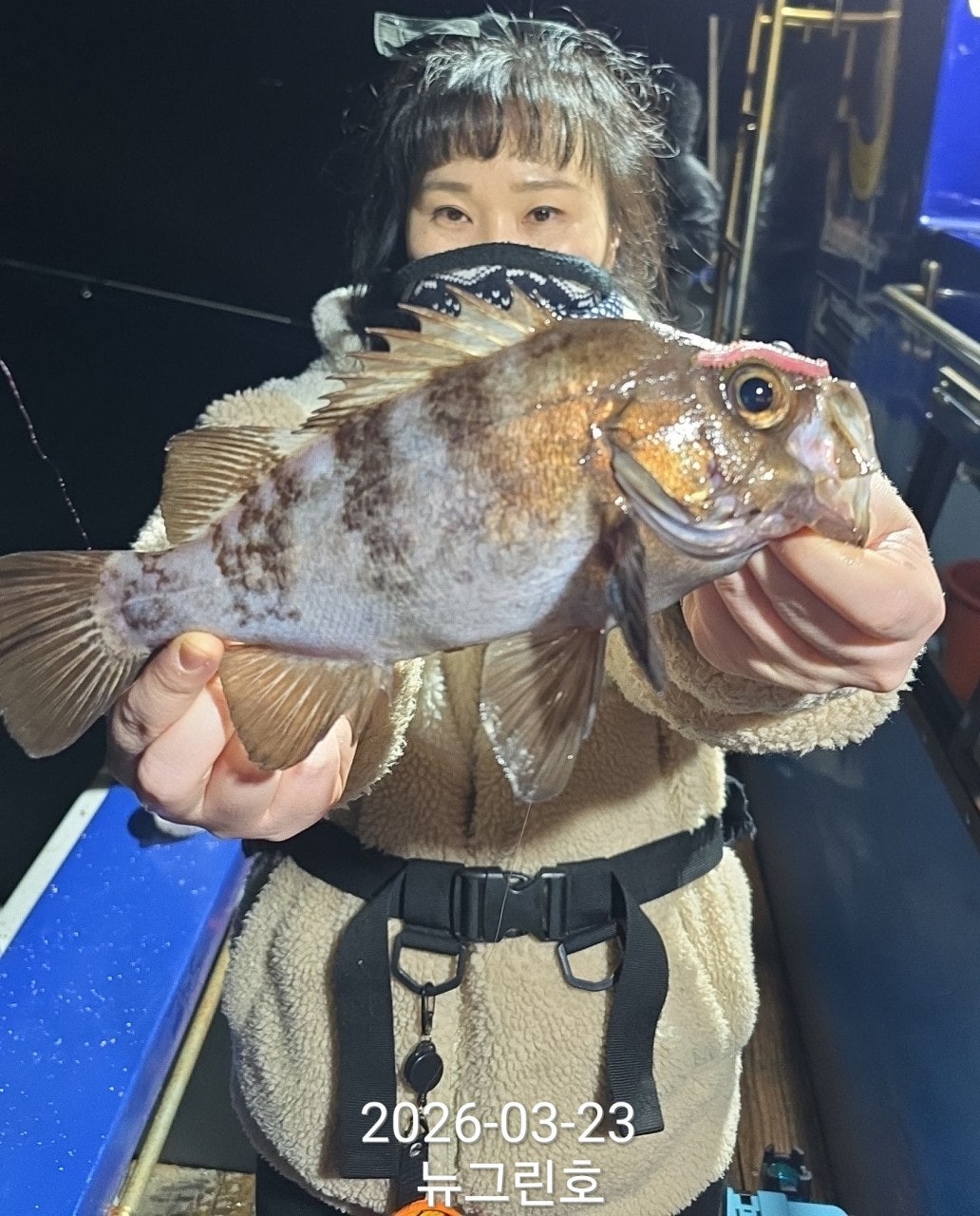 ����ڰ� �ø� �̹���