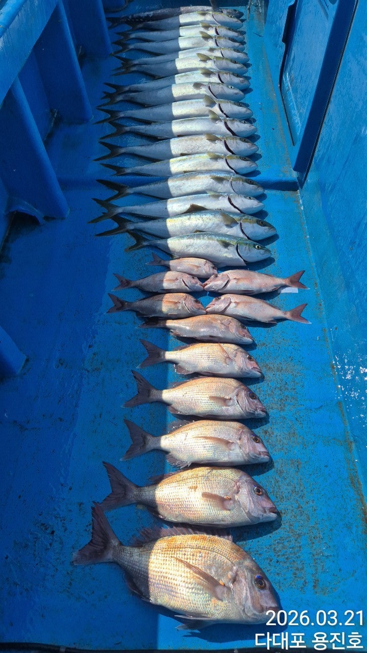 ����ڰ� �ø� �̹���