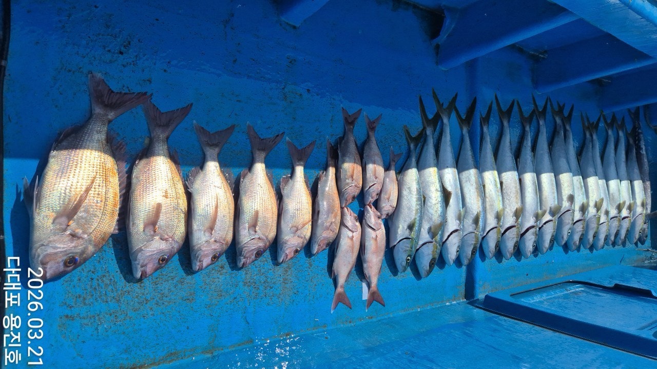 ����ڰ� �ø� �̹���