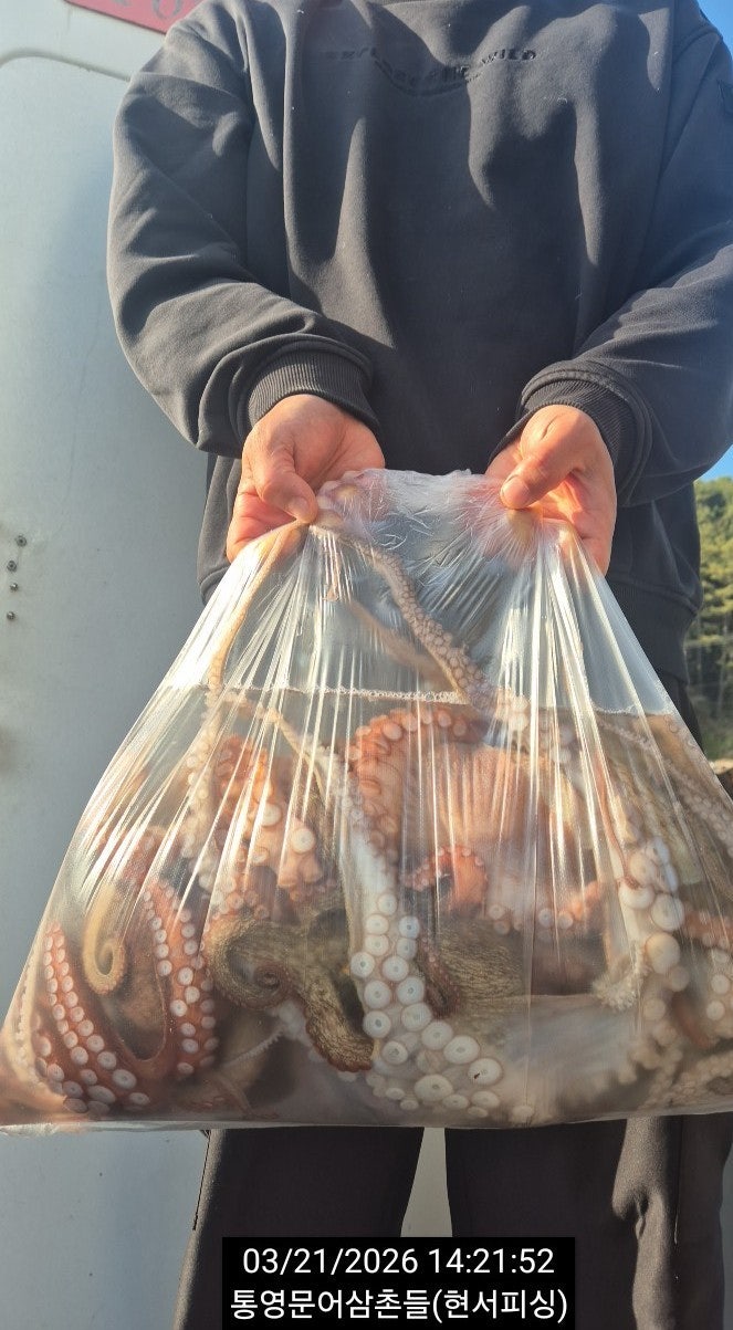 ����ڰ� �ø� �̹���