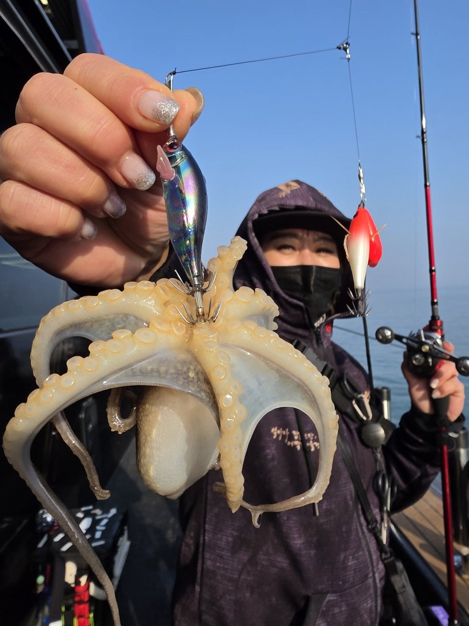 사용자가 올린 이미지