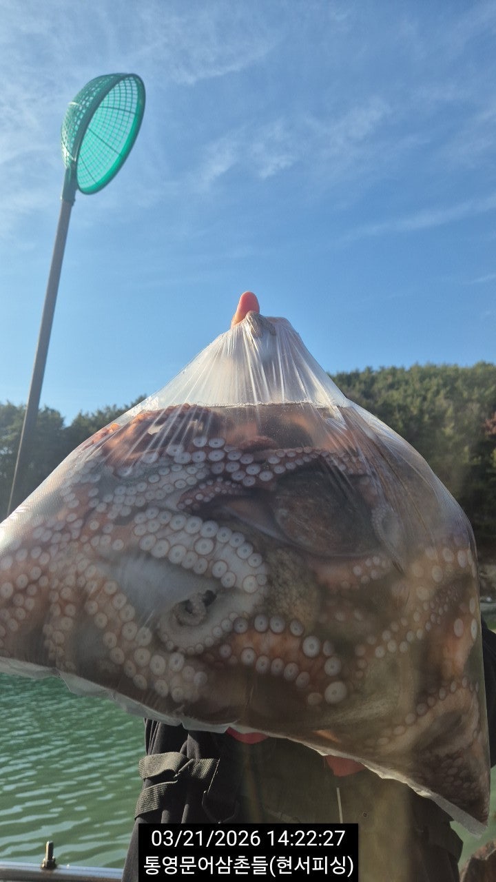 ����ڰ� �ø� �̹���