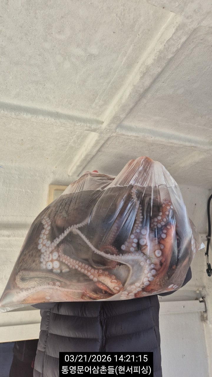 ����ڰ� �ø� �̹���