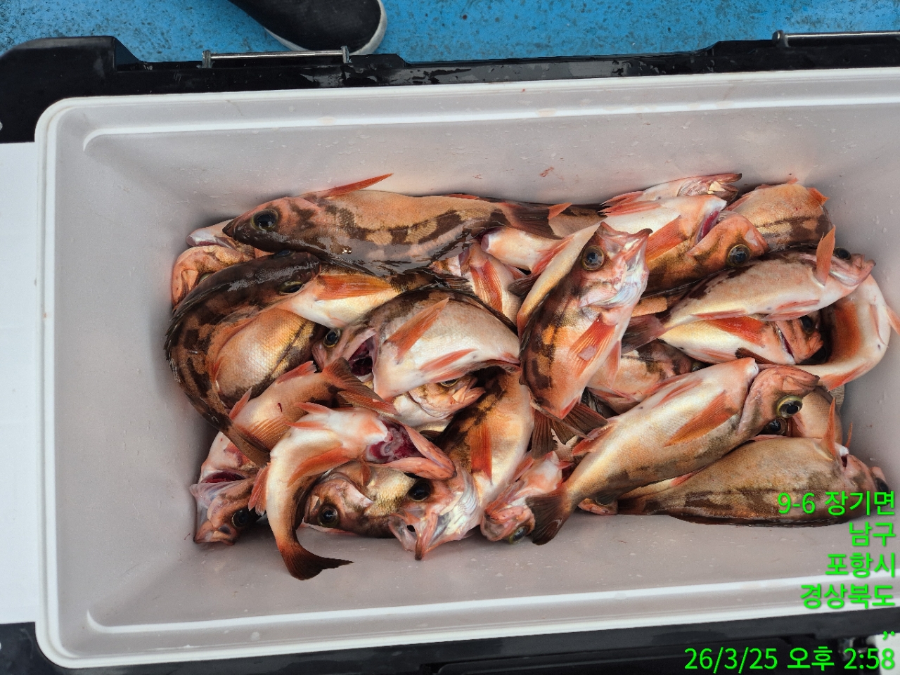 g_860Ud018svc1hx001trsk4dp_9bt2m0.jpg