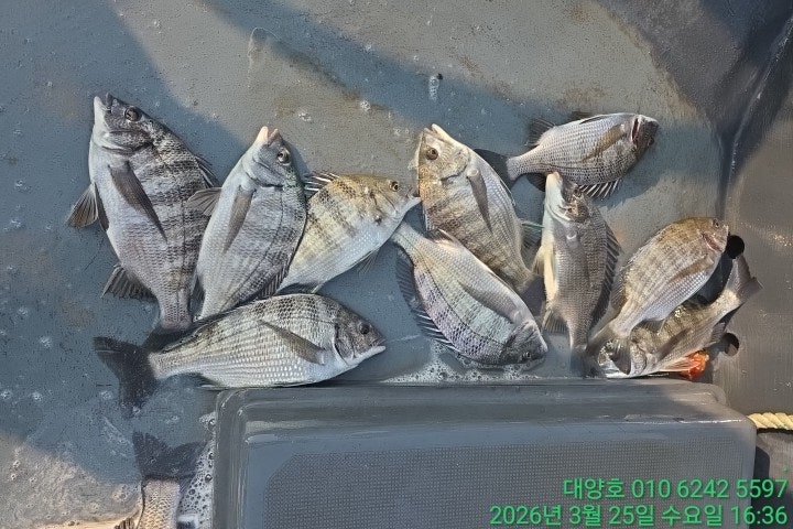 ����ڰ� �ø� �̹���