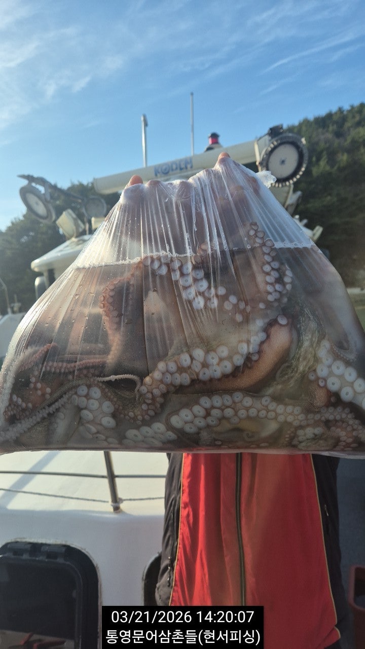 ����ڰ� �ø� �̹���