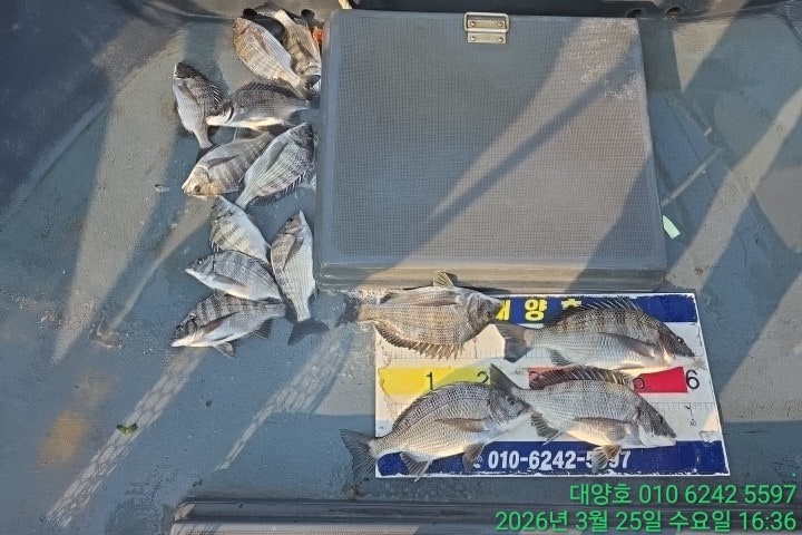 ����ڰ� �ø� �̹���