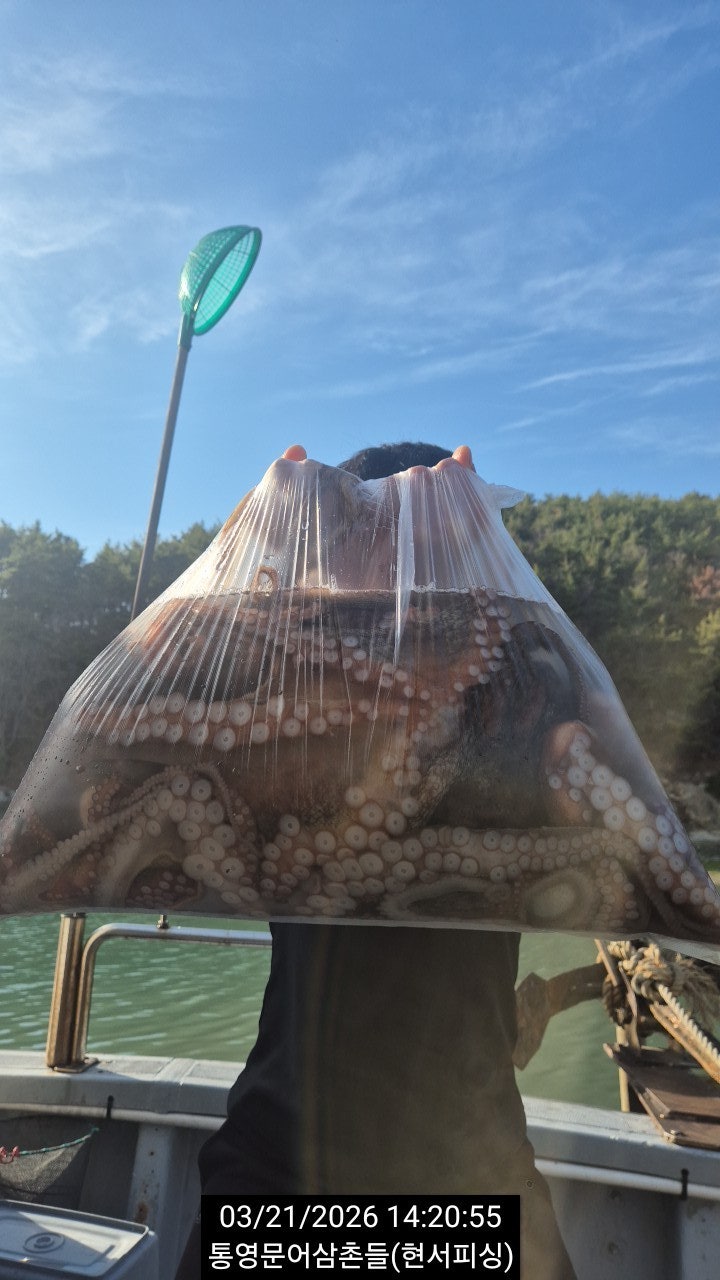 ����ڰ� �ø� �̹���