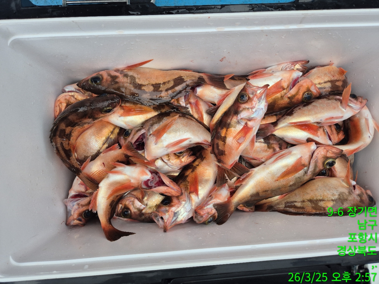 h_460Ud018svc1ab16ry216x4w_9bt2m0.jpg