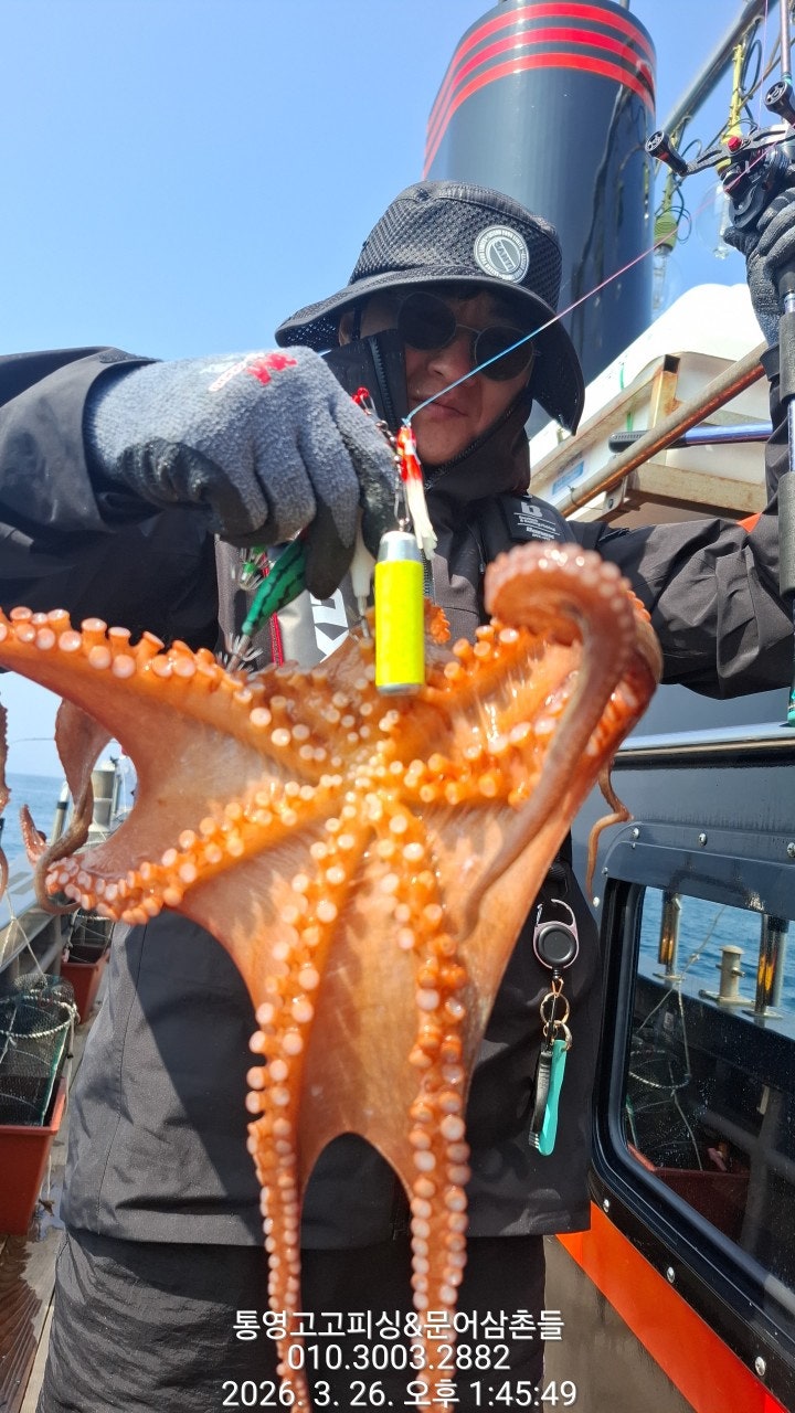 ����ڰ� �ø� �̹���